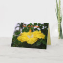 Search for hawaiian birthday cards Pink