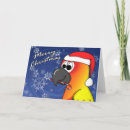 Search for sun conure cards Parrots