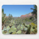Search for prickly pear mouse mats Arizona