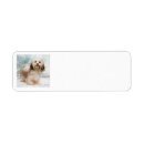 Search for havanese return address labels Pet