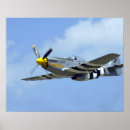 Search for fighter wing posters Aircraft