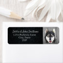 Search for siberian husky dog return address labels Puppy
