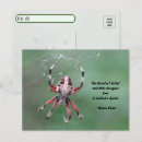 Search for spider postcards Arachnid
