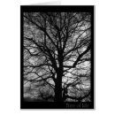 Search for for tree huggers Tree of life