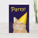Search for ginger cat invitations Party