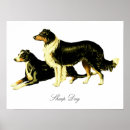 Search for sheep dog posters Pet