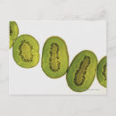 Search for fruit slices postcards Freshness