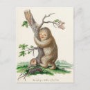 Search for bizarre postcards Strange