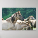 Search for herd posters Horse