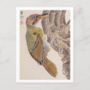 Search for bird postcards Animal