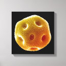 Search for pollen canvas prints Biology