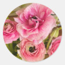 Search for stickers cards Flowers