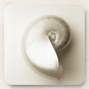 Search for sea shell coasters Animal