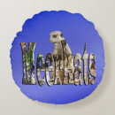 Search for meerkat cushions Suricata