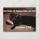 Search for pets horizontal postcards Black cat