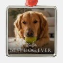 Search for dog pet memorial ornaments Create your own
