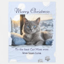 Search for photo with animals blankets Merry christmas