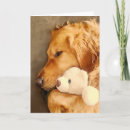 Search for golden retriever get well cards Cute