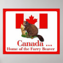 Search for funny beaver posters Humour