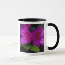 Search for eggers mugs Georgia