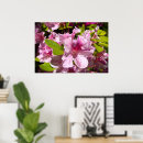 Search for azalea posters Nature