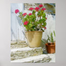 Search for red geranium posters Nature