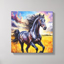 Search for black stallion canvas prints Black and white