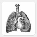 Search for vintage anatomy stickers Lungs