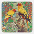 Search for conure stickers Parakeet