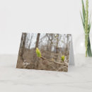 Search for spring bud cards Nature