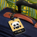 Search for orange bear accessories Cute
