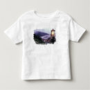 Search for foggy tshirts Pacific ocean