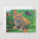 Search for tiger thank you cards Tabby