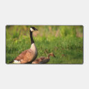 Search for gosling mouse mats Cute