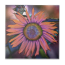 Search for mixed photography Orange