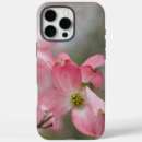 Search for dogwood iphone cases Nature