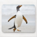 Search for gentoo penguin mouse mats Wildlife
