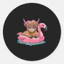 Search for floaty stickers Floatie