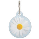 Search for chains pet supplies White