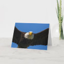 Search for bird of prey cards Predator