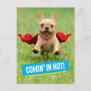 Search for superheroes postcards Cape