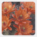 Search for cup stickers Orange