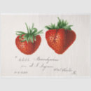 Search for strawberry tissue paper Vintage