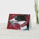 Search for greyhound cards Racing