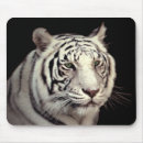 Search for bengal tiger mouse mats Cat