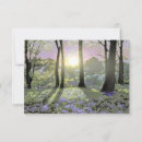 Search for bluebell flowers invitations Woodland