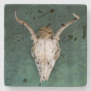 Search for antelope coasters Southwest