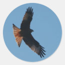 Search for kite flying stickers Bird