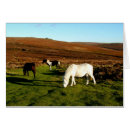 Search for devon cards Animals