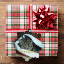 Search for kitten christmas tree decorations Modern